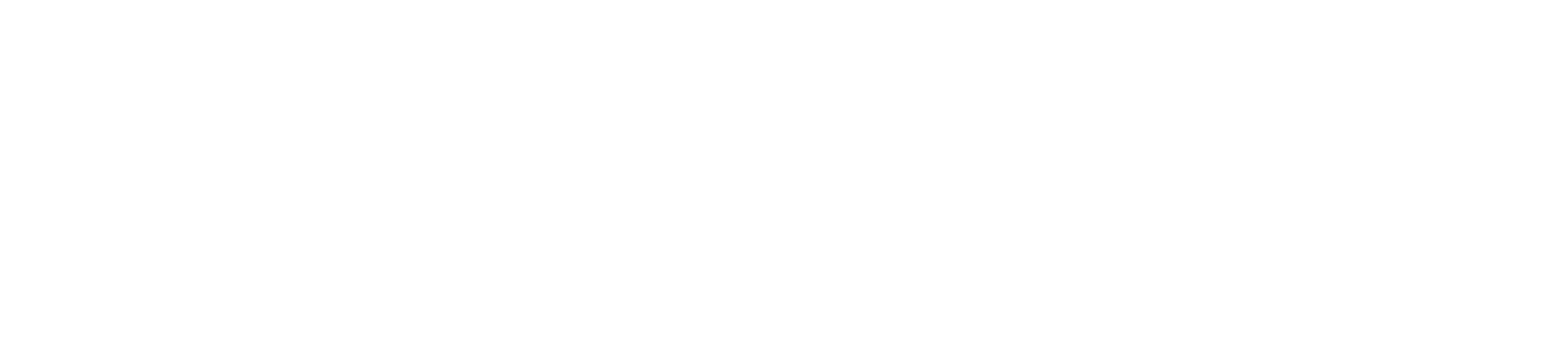 Revolut-01-retail-wordmark-DS-W